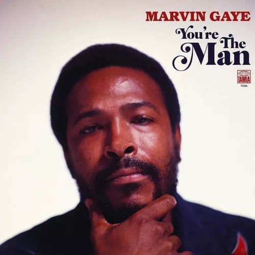 Marvin Gaye You’re the Man (Vinyl) 12″ Album New