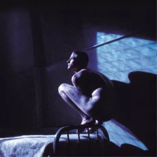 Peter Gabriel Birdy (Vinyl) 12″ Album New
