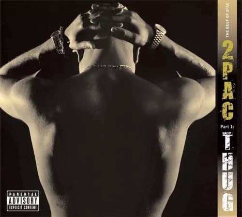 2Pac The Best of 2Pac: Part 1: Thug (Vinyl) 12″ Album New