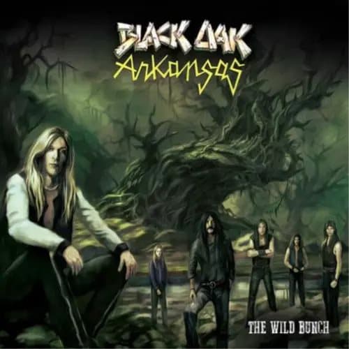 Black Oak Arkansas The Wild Bunch (Vinyl) 12″ Album Coloured Vinyl New