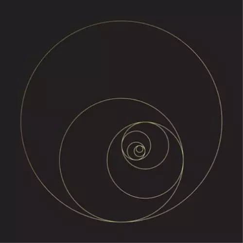 The Ocean Phanerozoic Live (Vinyl) 12″ Album Box Set With DVD New
