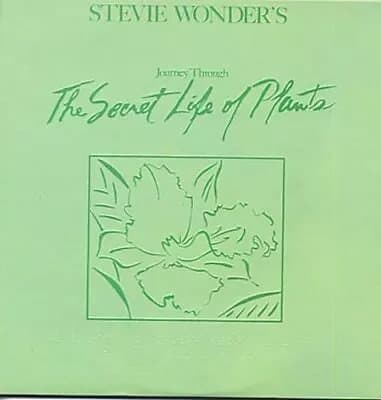 Stevie Wonder Journey Through The Secret Life Of Plants (Vinyl) New