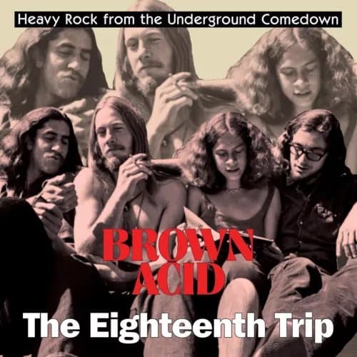 Various Artists Brown Acid: The Eighteenth Trip (Vinyl) 12″ Album New