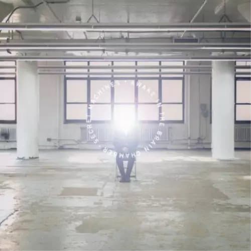 Secret Machines Awake in the Brain Chamber (Vinyl) 12″ Album New