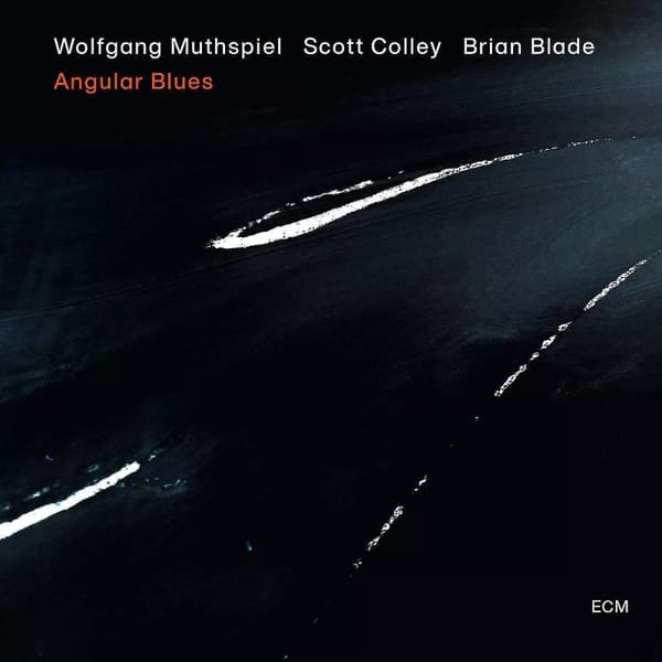 Wolfgang Muthspiel Angular Blues (Vinyl) 12″ Album New