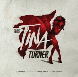 Various Artists - Many Faces Of Tina Turner The (2 Lp (LP)