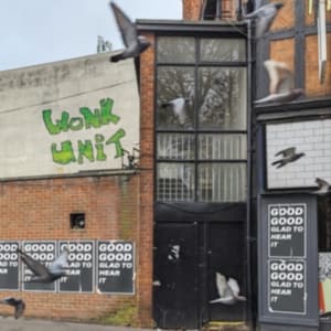Wonk Unit - Good Good Glad To Hear It (Vinyl Lp (LP)
