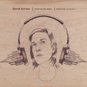 David Sylvian - Died In The Wool - Manafon Variatio (LP)