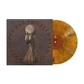 Miniatyrbild 1 av 2: Creedence Clearwater Revival - Mardi Gras (Tigers Eye Vinyl) (LP)