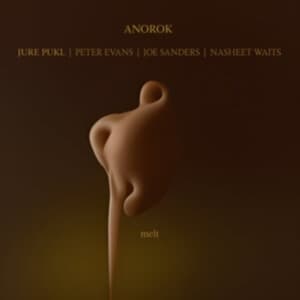Anorok - Melt (Marbled Vinyl Lp) (LP)