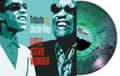 Miniatyrbillede 1 af 2: Wonder Stevie - Tribute To Uncle Ray (Turquoise Mar (LP)