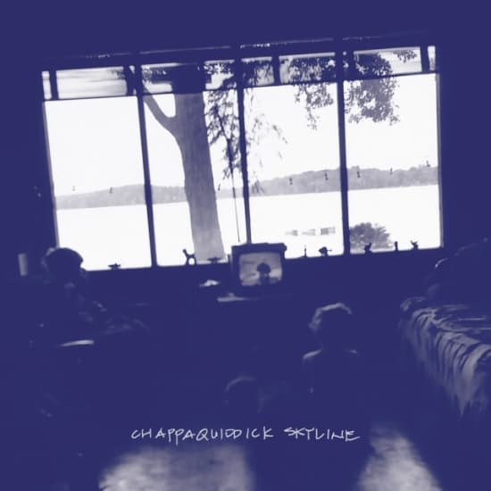 Chappaquiddick Skyline - Chappaquiddick Skyline (Indie Exclu (LP)