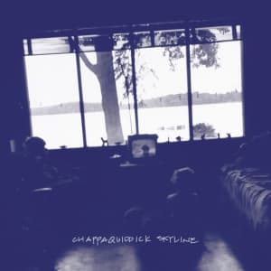 Chappaquiddick Skyline - Chappaquiddick Skyline (Indie Exclu (LP)