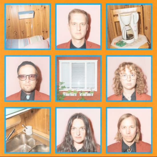Tiger - Musik För Folk Som Inte Gillar Folk (LP)