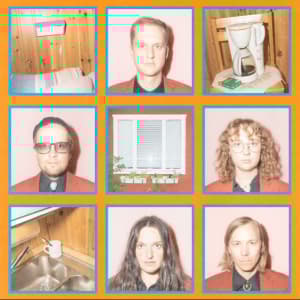 Tiger - Musik För Folk Som Inte Gillar Folk (LP)