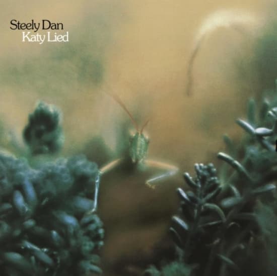Steely Dan - Katy Lied (LP)