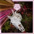 Pikkukuva 1 / 2: Boine Mari - Alva (LP)