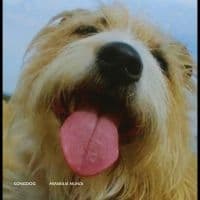 Songdog - Mirabilia Mundi (LP)