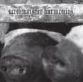 Pikkukuva 2 / 2: Wrekmeister Harmonies - Flowers In The Spring (LP)