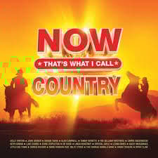 Various Artists - Now That's What I Call Country (LP)