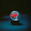 Miniatyrbillede 2 af 2: Darkside - Nothing (LP)