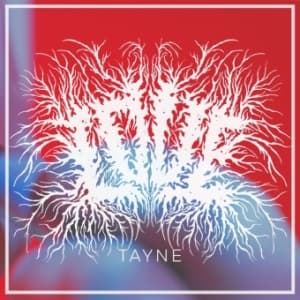 Tayne - Love (LP)