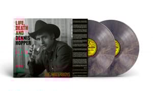 The Waterboys - Life, Death & Dennis Hopper (Psychedelic Waves Colored 2Lp) (LP)