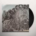 Miniatyrbillede 1 af 2: Wildbirds & Peacedrums: Heartcore (Vinyl,LP)