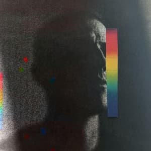 Cunningham Charlie - In Light (LP)
