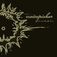 Noisepicker - Earth Will Swallow The Sun (Vinyl L (LP)