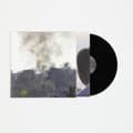 Pikkukuva 2 / 2: Drain Gang - Trash Island (LP)