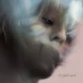 Miniatyrbillede 1 af 2: Kedr Livanskiy - Myrtus Myth (Limited Swamp Pearl Vi (LP)