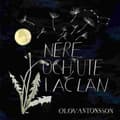 Miniatyrbilde 1 av 2: Antonsson Olov - Nere Och Ute I Ac Län Lp Blue (LP)