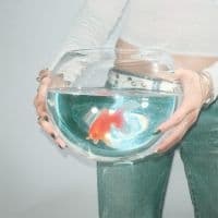 Fish Narc - Frog Song (LP)