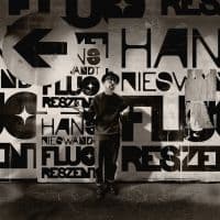 Nieswandt Hans - Fluoreszent (LP)