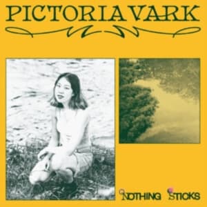 Pictoria Vark - Nothing Sticks (LP)