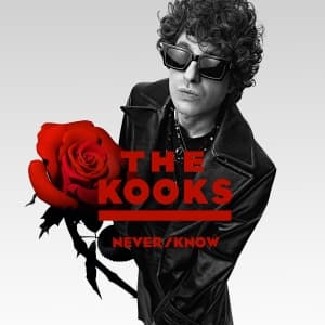 Kooks The - Never/Know (LP)