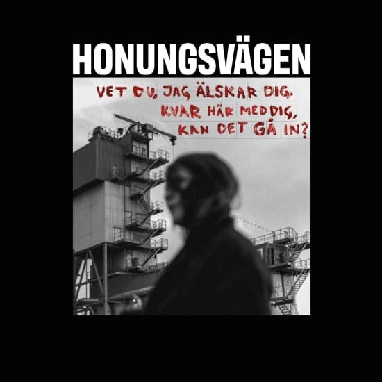 Honungsvägen - Vet Du, Jag Älskar Dig. Kvar Här Med Dig, Kan Det Gå In? (White Vinyl incl postcard) (LP)