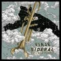 Miniatyrbillede 1 af 2: El Leon Pardo - Viaje Sideral (Picture Disc) (LP)