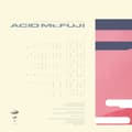 Miniatyrbillede 3 af 4: Susumu Yokota - Acid Mt. Fuji (LP)