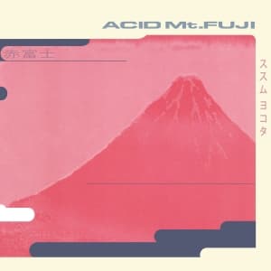 Susumu Yokota - Acid Mt. Fuji (LP)