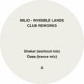 Pikkukuva 3 / 6: Milio - Invisible Lands
