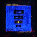 Miniatyrbillede 1 af 2: Trower Robin - Come And Find Me (LP)