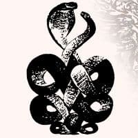 Bardo Pond - Volume 4 & 5 (LP)
