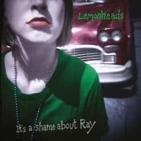 Lemonheads The - It's A Shame About Ray (30Th Annive (LP)