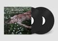 Pikkukuva 1 / 2: Ritualmord - This Is Not Lifelover (2 Lp Black V (LP)