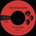 Miniatyrbillede 1 af 2: The Notations - I'm Still Here B/W What More Can I