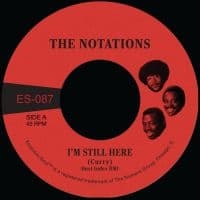 The Notations - I'm Still Here B/W What More Can I