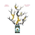 Miniatyrbilde 1 av 2: Johnson Chuck - The Cinder Grove (LP)