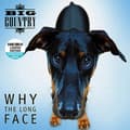 Pikkukuva 1 / 2: Big Country - Why The Long Face (Rsd24 Ex) (LP)